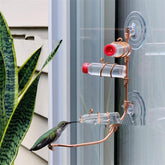 Window Hummingbird Feeder with Suction Cup
