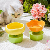 Ceramic Elevated Pet Bowl