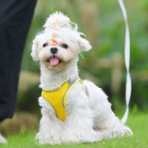 Anti-Escape Pet Harness