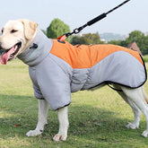 Warm Waterproof Dog Jacket for Medium & Large Dogs