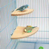 Solid Wood Bird Climbing & Perch Platform