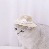 Handmade Summer Pet Hat for Dogs & Cats